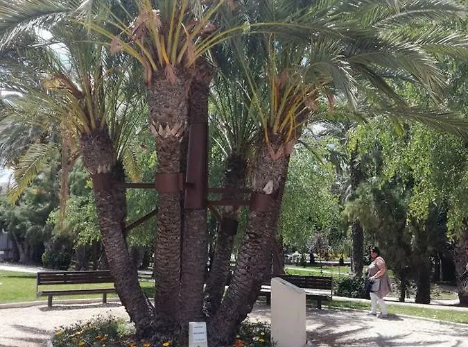 Fuente De Luz דירה
